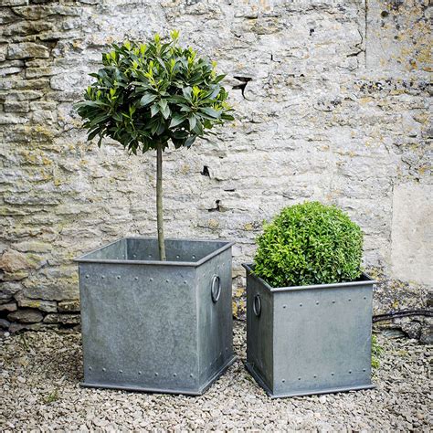 Galvanized Planters Uk Thuem Garden Plant