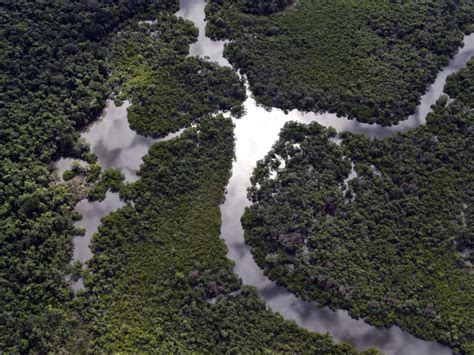 O Paraná foi o estado que mais reduziu o desmatamento ilegal da Mata Atlântica Nossa Gente