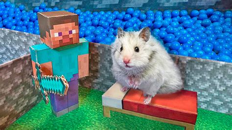 Hamster Escapes From The Minecraft Prison Minecraft Hamster Maze