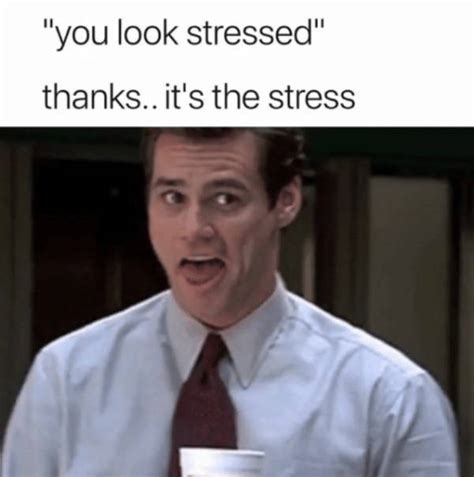 These Stressed Out Memes Are Way Too Relatable 30 Pics