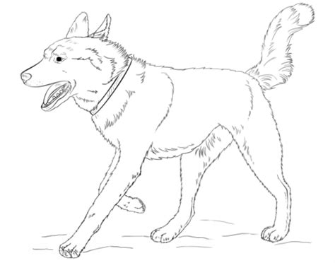 Beverly hills chihuahua coloring pages coloring pages color. Kleurplaten Honden Duitse Herder German Shepherd Dog ...
