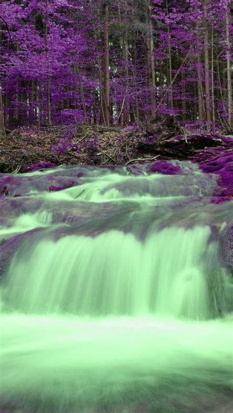 Purple Forest With Waterfall Source Beautiful Waterfalls