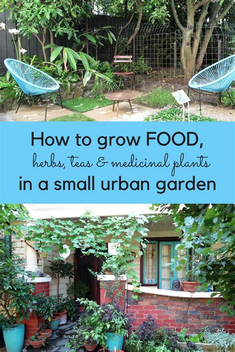 How Much Food Can You Grow In A Small Urban Garden The