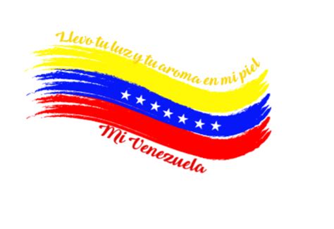 'banderas brasil más de 30.000 banderas diferentes 14 tamaños diferentes bandera hecho en alemania primera calidad más información. Bandera venezuela banderadevenezuela tuluzenmipiel...