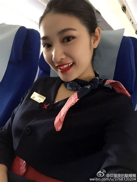 pin on stewardess