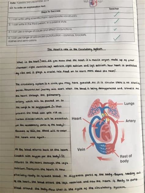 The Circulatory System Explanations West Green Primary School