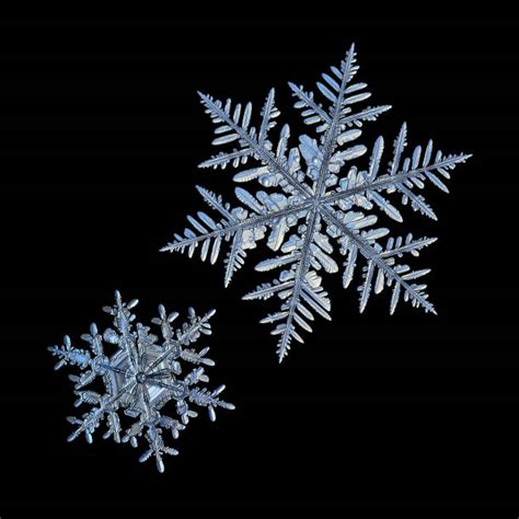 Best Microscopic Snowflakes Stock Photos Pictures And Royalty Free