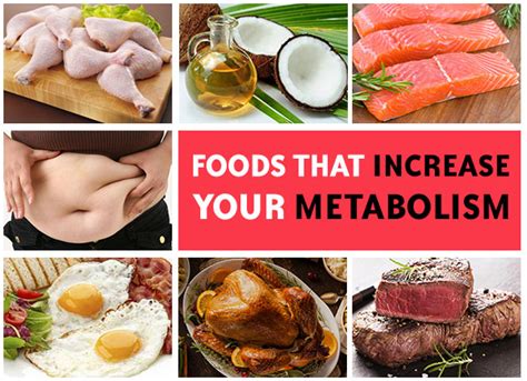 Foods That Increase Metabolism Burn Belly Fat For