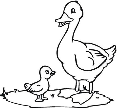 Be sure to visit many of the other disney coloring pages aswell. Free Printable Duck Coloring Pages For Kids