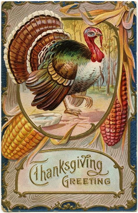 Free Vintage Image ~ Thanksgiving Greeting Turkey Postcard