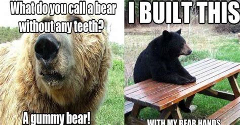 Funny Bear Puns