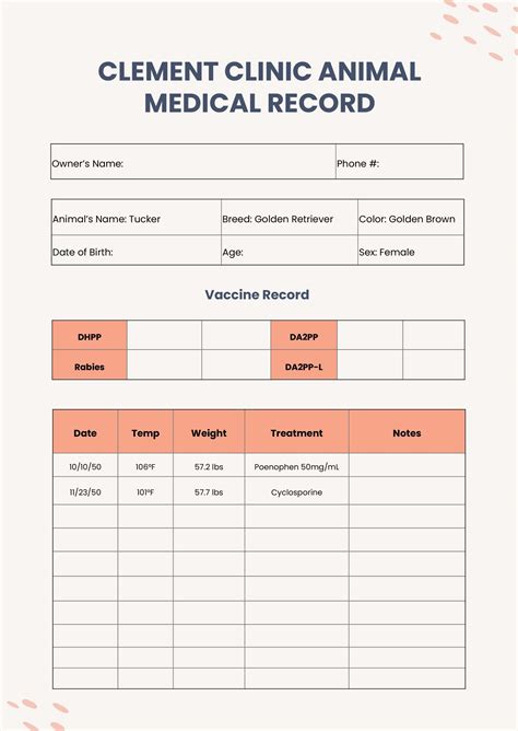 Veterinary Medical Chart Template Download In Pdf Illustrator