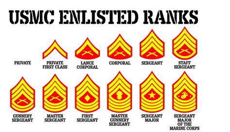 Large Usmc Enlisted Rank Chart 3 Color Vinyl Wall Decal Free Etsy