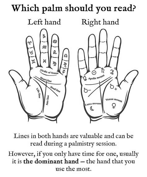 Palm Reading Guide How To Read Your Own Palm Spells