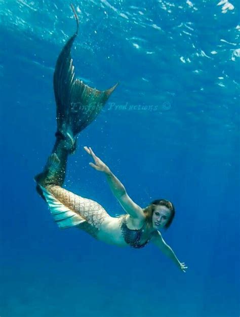 17 Best Images About Mermaid Tails And Mermazing Things On Pinterest