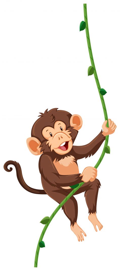 Premium Vector A Monkey Hanging On Vine