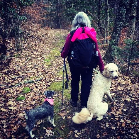 Bring Fido Along Where To Find Dog Friendly Hiking Trails Outdoors