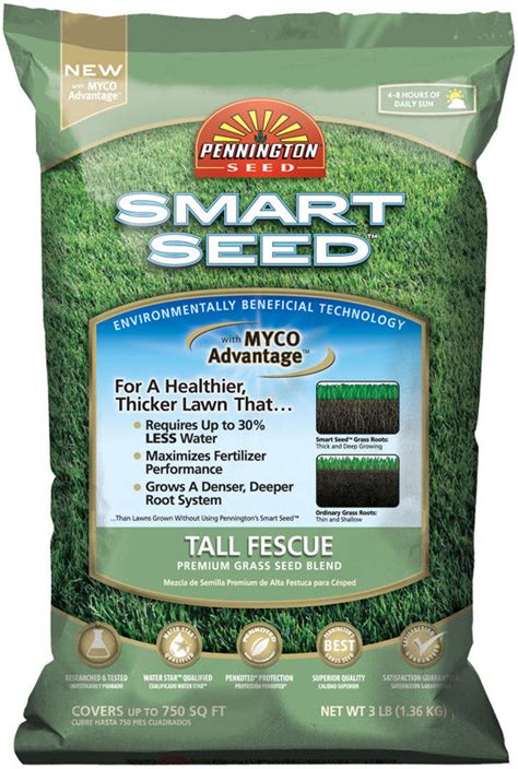 Pennington Smart Seed Tall Fescue Grass Sun Or Shade Grass Seed And Fert