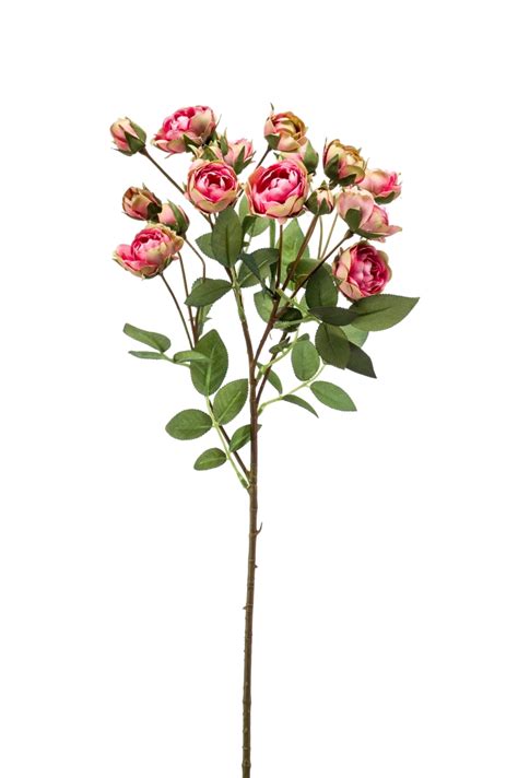 Artificial Rose Mini Spray Pink And Green 57cm £725 Inspirations