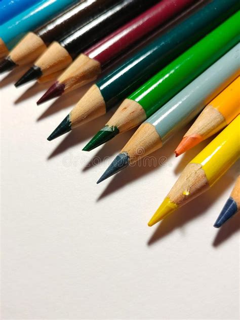 Hand Sharpened Colored Pencils Stock Image Image Of Education