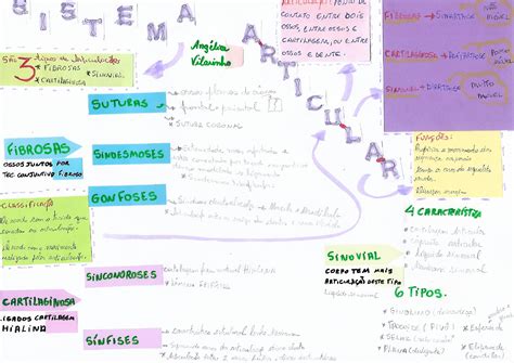 Mapa Mental Sistema Articular Corpo Humano