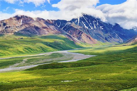 Denali National Park Alaska Usa Photograph By Feng Wei Photography