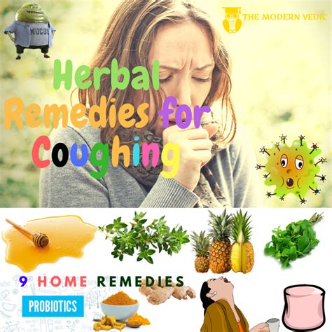 how to cure cough using herbs 9 natural and home remedies coughing