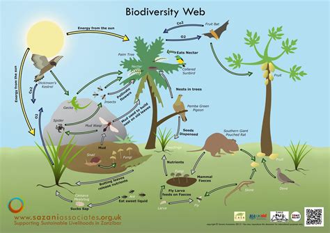 Biological Diversity Wallpapers Wallpaper Cave