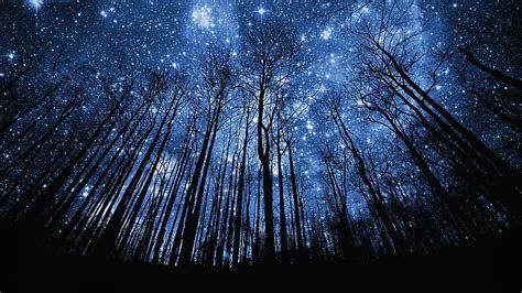 Hd Wallpaper Starry Night View Dark Sky Stars Galaxy Nature