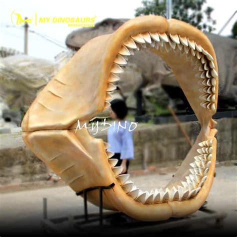 Museum Replica Megalodon Shark Jaw Skeleton For Sale Mydinosaurs