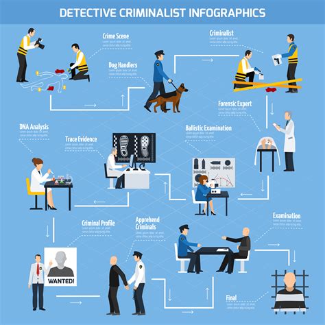 Police Experts Flat Style Infographics 482550 Vector Art At Vecteezy