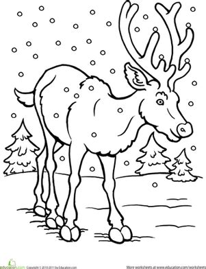 Did you scroll all this way to get facts about winter holidays? Color the Reindeer | Worksheet | Education.com