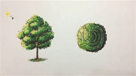 Como Dibujar árboles Con Marcadores Arquitectura How To Draw Trees