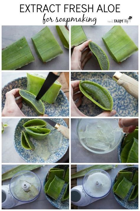 How To Make Aloe Vera Soap Cold Process Soap Recipes Homemade Soap