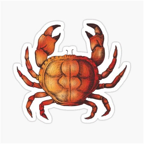 Crab Sticker By Dongila5 Redbubble
