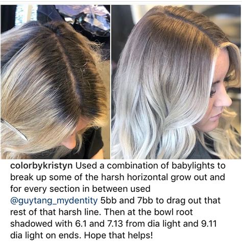Pin By Melissa Scoran On Ombré Sombre Bayalage Root Shadow Ideas