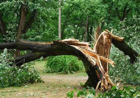 Die übersichtskarte enthält eine zusammenfassung aller unwetterwarnungen sowie nützliche wetterhinweise für den freistaat bayern. Unwetterwarnung: Sturm Kirsten tobt aktuell über Deutschland!