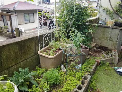 M邸さまリガーデン（植栽） | chieko with garden