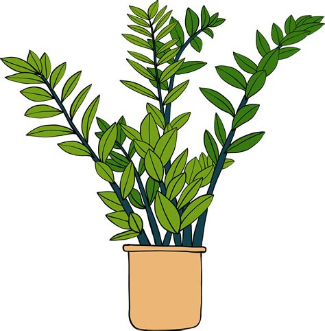 Plantas Png Free Images With Transparent Background 28578 Free
