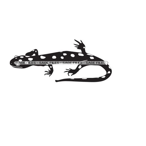 Gecko Svg Salamander Svg Lizard Svg Salamander Clipart S Inspire
