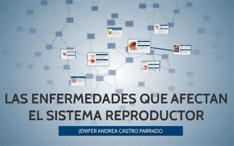 Chibiology Enfermedades Que Afectan El Aparato Reproductor Femenino