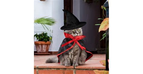 Vampire Cape And Hat Cat Costume Best Costumes For Cats Popsugar Uk