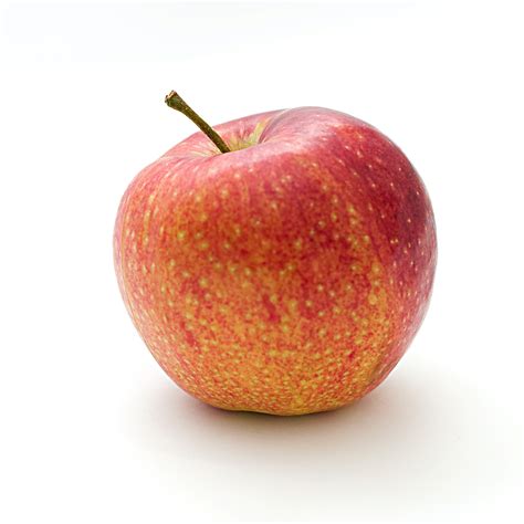 Selective Focus Photo of Delicious Red Apple Fruit With White ...