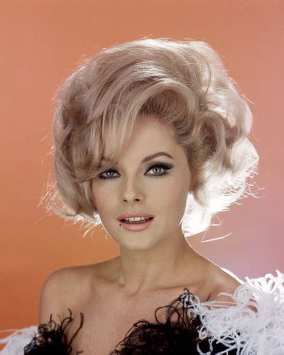 Virna Lisi Posters And Photos 287274 Movie Store