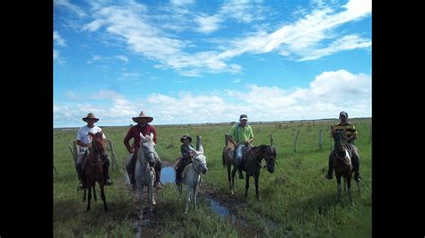 El Llano Desde Un Caballo Venezuela Apure Youtube