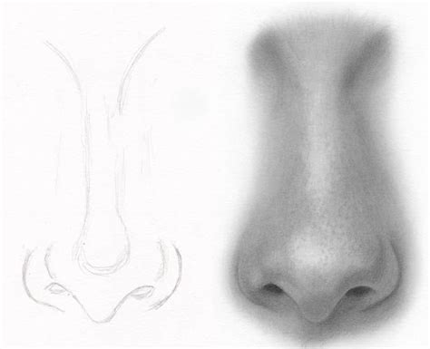 I draw nose and shading with graphite pencil easy step by step for beginners during drawing and shading i go to light to dark. How to Draw | Realistic pencil drawings, Realistic ...