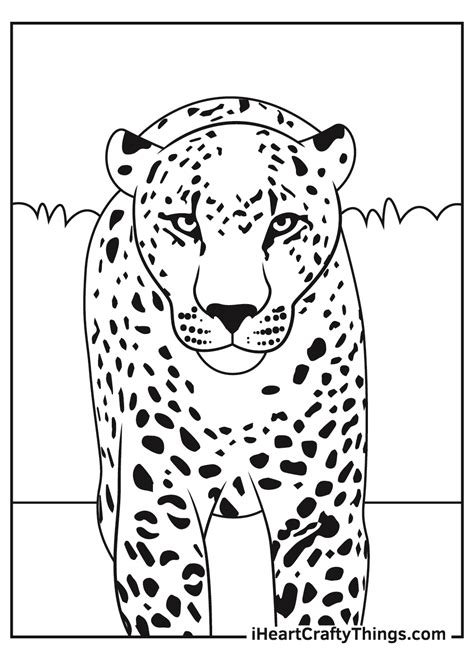 Leopards Coloring Pages Updated 2021