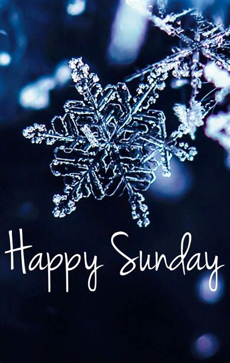 Have A Wonderful Winter Sunday Happy Sunday Quotes Sunday Greetings Sunday Quotes