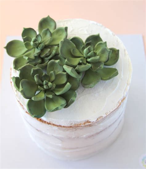 Kurabiem Succulent Naked Cake