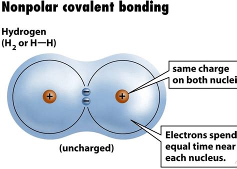 What Is Nonpolar Covalent Bond Compounds And Properties Education